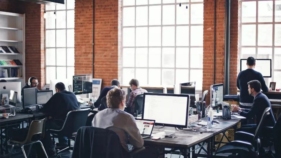 Как выбрать веб-студию в Красном Селе по кейсам