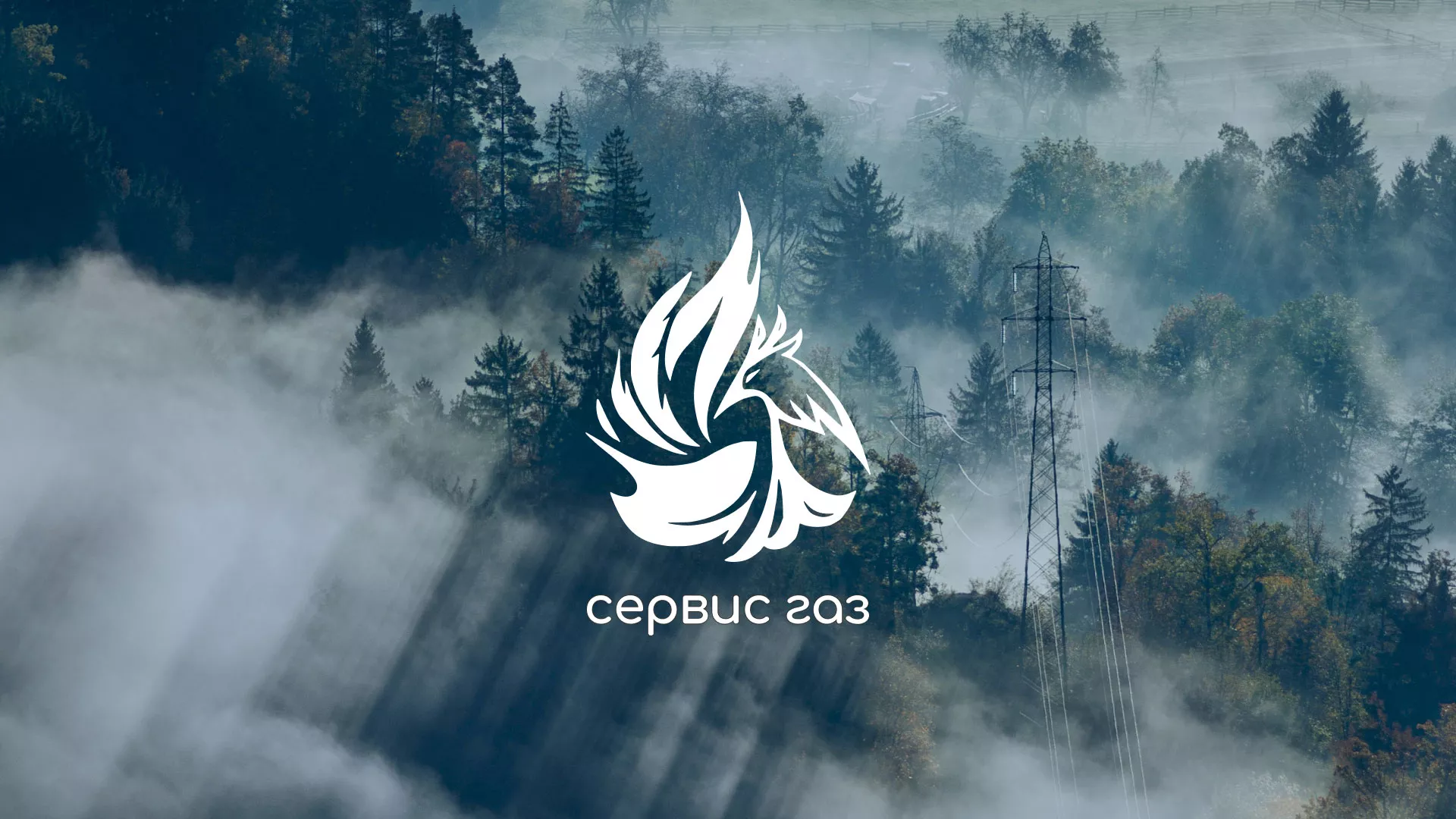 Создание сайта компании «Сервис газ» в Красном Селе