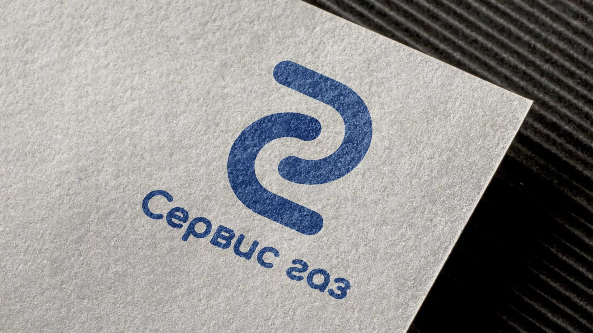 Разработка логотипа «Сервис газ» в Красном Селе
