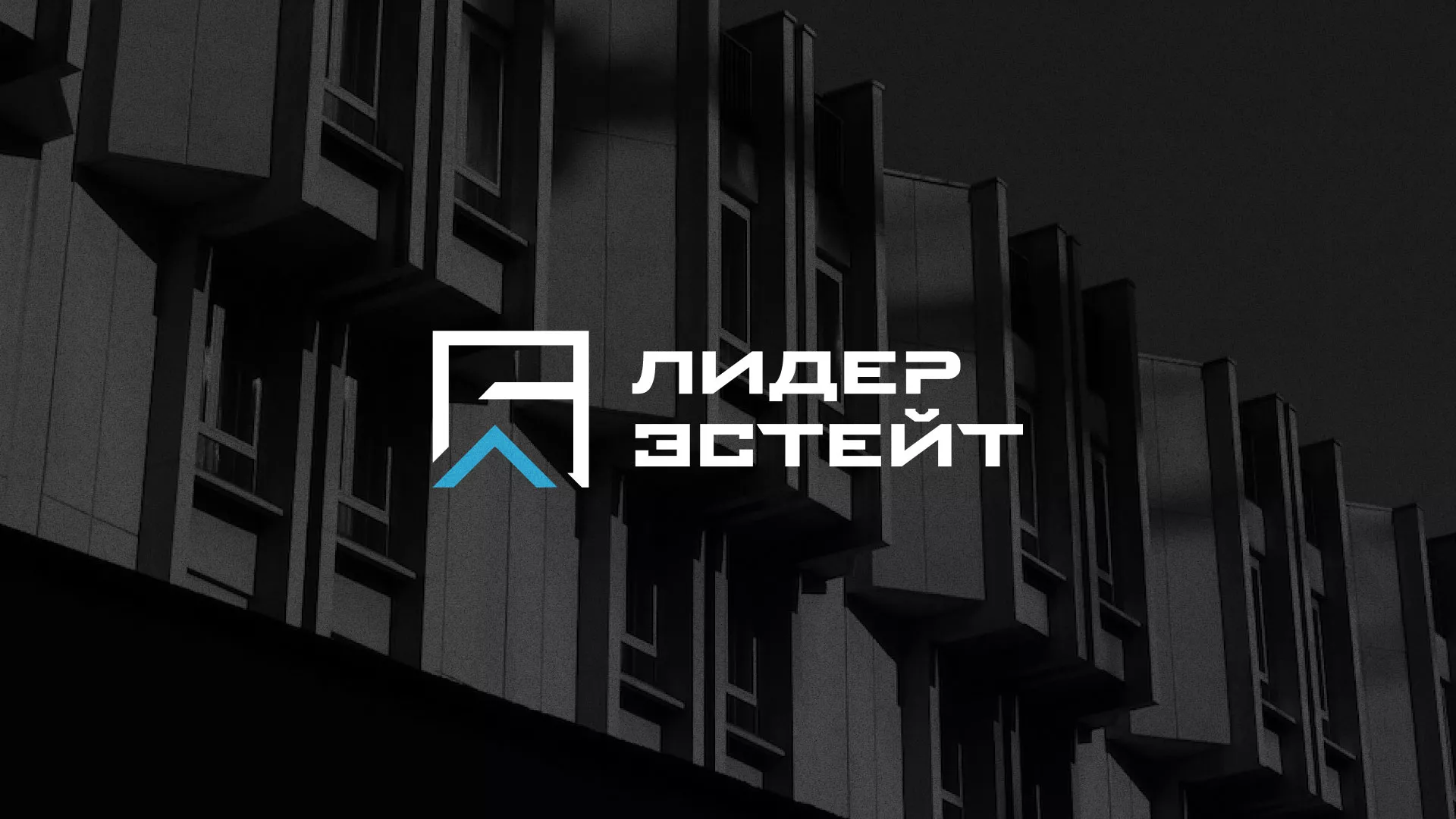 Разработка логотипа агентства недвижимости «Лидер Эстейт» в Красном Селе
